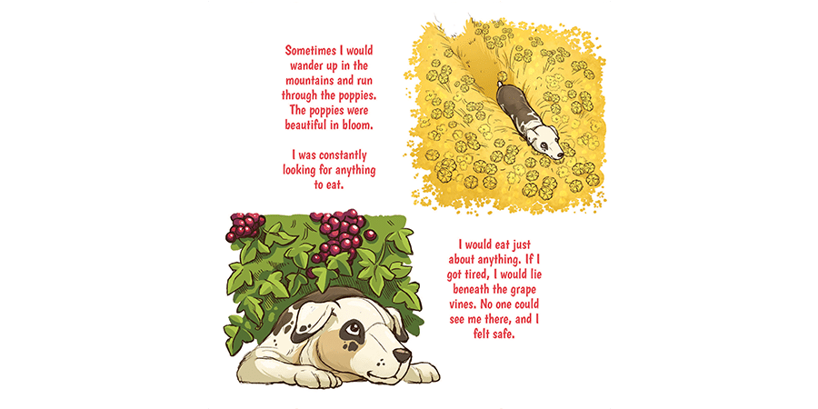 A spot illustration